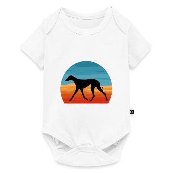 Azawakh Dog Lover Silhouette Vintage Sunset - Body à manches courtes Premium Bébé - blanc - Devant