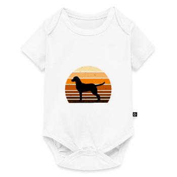 Chesapeake Bay Retriever Dog Silhouette Retro Sun - Baby Premium short-sleeve bodysuit - white - Front