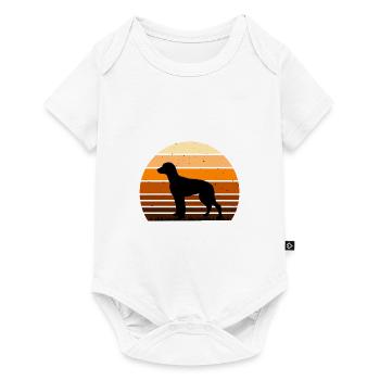 Chien Francais Tricolore Dog Silhouette Retro Sun - Baby Premium short-sleeve bodysuit - white - Front
