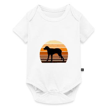 Chien Français Blanc et Orange Dog Silhouette - Body à manches courtes Premium Bébé - blanc - Devant