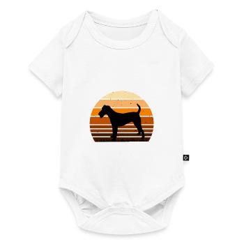 Irish Terrier Dog Lover Silhouette Vintage Sunset - Baby Premium short-sleeve bodysuit - white - Front
