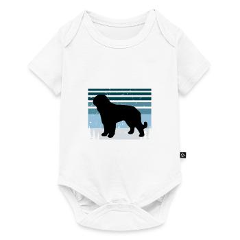 Barbet Dog Lover Silhouette Vintage Sunset - Baby Premium short-sleeve bodysuit - white - Front