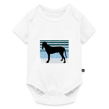 Ariegeois Dog Lover Silhouette Vintage Sunset - Body à manches courtes Premium Bébé - blanc - Devant