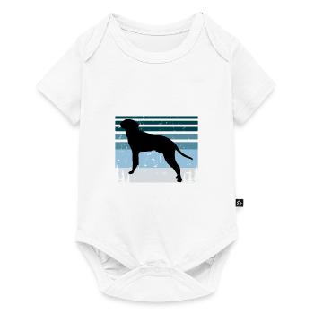 Braque Saint Germain Hund Silhouette Retro Sonnenuntergang - Baby Premium Kurzarmbody - Weiß - Vorne
