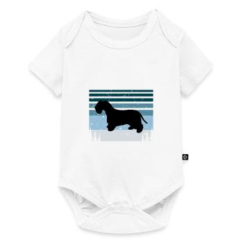 Cesky Terrier Hundeliebhaber Silhouette Vintage Sonnenuntergang - Baby Premium Kurzarmbody - Weiß - Vorne