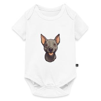 American Hairless Terrier chien race aquarelle voiture - Body à manches courtes Premium Bébé - blanc - Devant