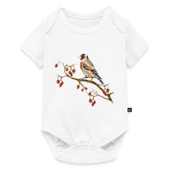 Oiseau coloré - Body à manches courtes Premium Bébé - blanc - Devant
