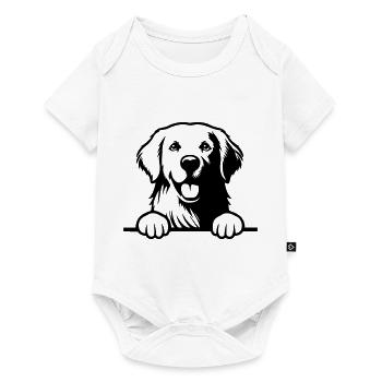 Golden retriever - Body à manches courtes Premium Bébé - blanc - Devant