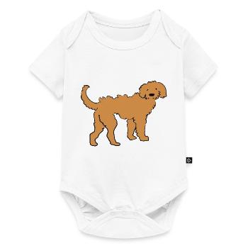 Golden Doodle - Baby Premium short-sleeve bodysuit - white - Front