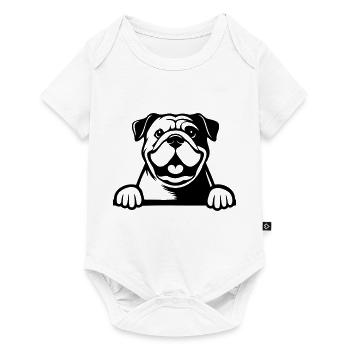 Bouledogue anglais - Body à manches courtes Premium Bébé - blanc - Devant