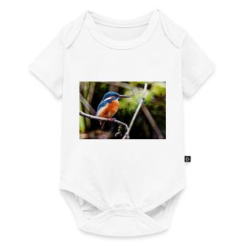 Martin-pêcheur - Body à manches courtes Premium Bébé - blanc - Devant