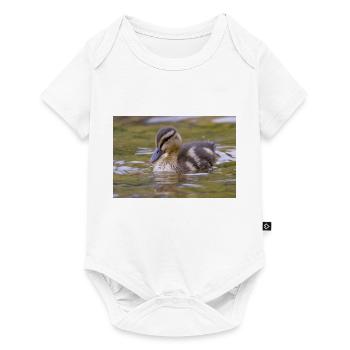 Poussins de canard - Body à manches courtes Premium Bébé - blanc - Devant