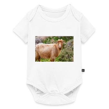 Chèvre de montagne dans le parc national Λίμνη Συμπ - Body à manches courtes Premium Bébé - blanc - Devant