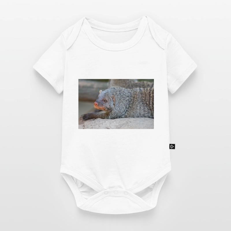 Gebänderte Manguste oder Zebramanguste Zebramanguste Baby Premium Kurzarmbody