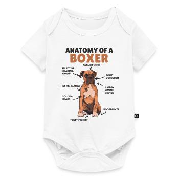 Anatomie d’un boxeur mignon chiot chien - Body à manches courtes Premium Bébé - blanc - Devant