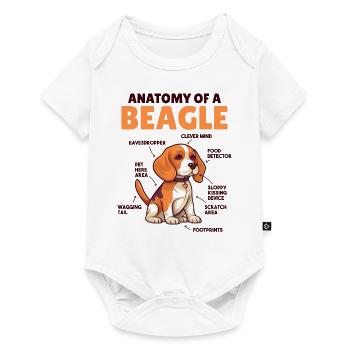 Explication du chien Anatomie d’un beagle - Body à manches courtes Premium Bébé - blanc - Devant
