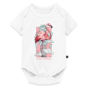 Équipe Flamingo Aquarelle Aquarelle Animaux - Body à manches courtes Premium Bébé - blanc - Devant