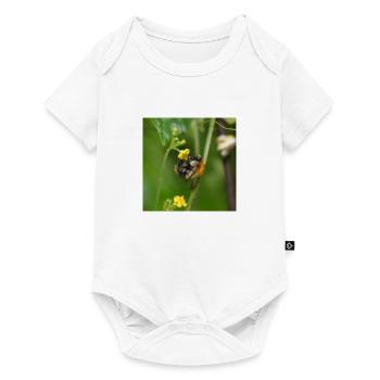 Hummel auf gelber Blüte - Baby Premium Kurzarmbody - Weiß - Vorne