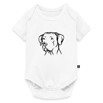 Rhodesian Ridgeback - Baby Premium Kurzarmbody - Weiß - Vorne