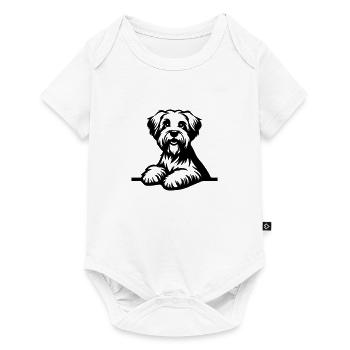 Dandie Dinmont Terrier - Body à manches courtes Premium Bébé - blanc - Devant