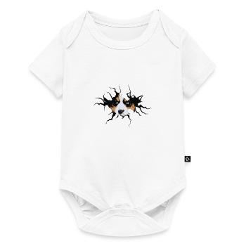 Niedlicher Border Collie Riss gerissen Loch - Baby Premium Kurzarmbody - Weiß - Vorne
