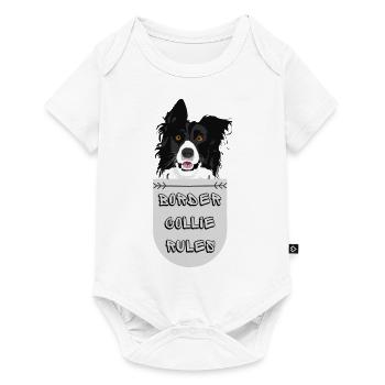 BORDER COLLIE- CHIEN - Body à manches courtes Premium Bébé - blanc - Devant