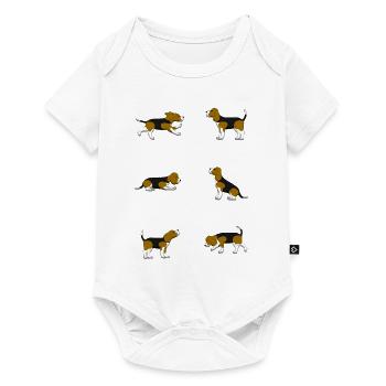 Beagle selection - Baby Premium short-sleeve bodysuit - white - Front