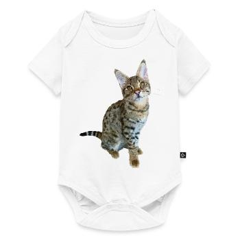 Tabby - Baby Premium short-sleeve bodysuit - white - Front