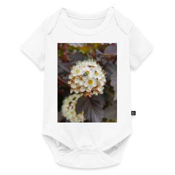 Physocarpus capitatus Blasenspiere - Body à manches courtes Premium Bébé - blanc - Devant