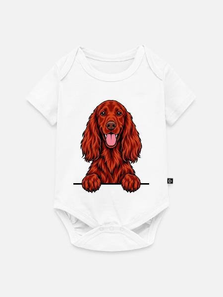 Irischer Setter - Baby Premium Kurzarmbody - Weiß