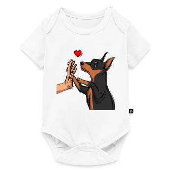 Zwergpinscher Liebe Miniature Pinscher - Body à manches courtes Premium Bébé - blanc - Devant