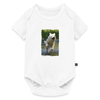 weißer Schäferhund - Baby Premium Kurzarmbody - Weiß - Vorne