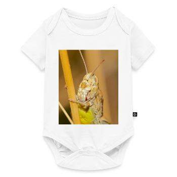 Macro photograph of a grasshopper in details - Baby Premium short-sleeve bodysuit - white - Front