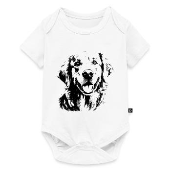 Golden Retriever - Baby Premium short-sleeve bodysuit - white - Front