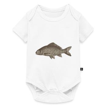 Meerestiere - Baby Premium Kurzarmbody - Weiß - Vorne