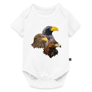 Oiseaux de proie - Body à manches courtes Premium Bébé - blanc - Devant