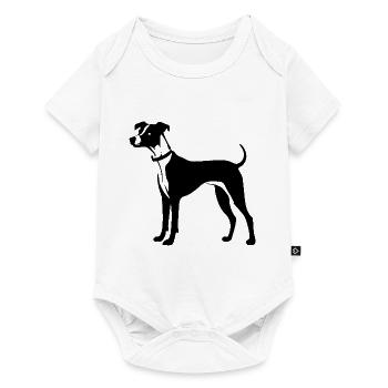 Chien Whippet - Body à manches courtes Premium Bébé - blanc - Devant