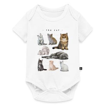 the cute cats - Baby Premium short-sleeve bodysuit - white - Front