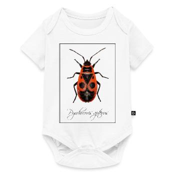 Pyrrhocoris apterus - Baby Premium short-sleeve bodysuit - white - Front