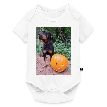 Kürbis Hund Halloween Herbst - Baby Premium Kurzarmbody - Weiß - Vorne