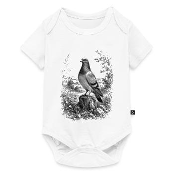 Proud dove in nature in detailed drawing style - Baby Premium short-sleeve bodysuit - white - Front