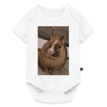 Rabbit - Baby Premium short-sleeve bodysuit - white - Front