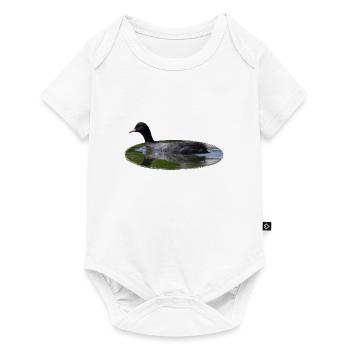 Eurasian Coot - Baby Premium short-sleeve bodysuit - white - Front