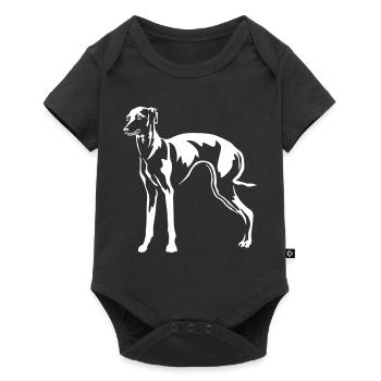 Italienisches Windspiel - Baby Premium Kurzarmbody - Schwarz - Vorne
