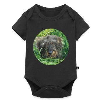 Cute wire-haired dachshund lifelike - dachshund - Baby Premium short-sleeve bodysuit - black - Front