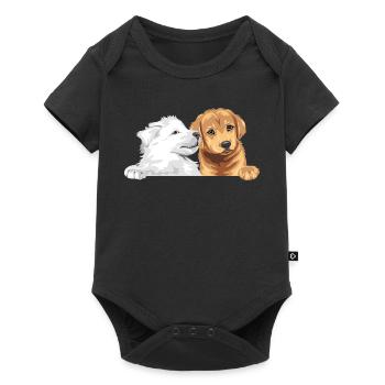 Berger suisse blanc et Golden Retriever - Body à manches courtes Premium Bébé - noir - Devant