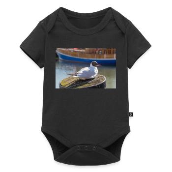 Möwe im Büsumer Hafen Deutschland Poster - Baby Premium Kurzarmbody - Schwarz - Vorne