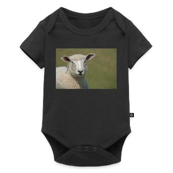 Ein Schaf auf einem Deich Norddeutschland Poster - Baby Premium Kurzarmbody - Schwarz - Vorne
