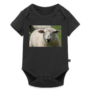 Gros plan d’un mouton - Body à manches courtes Premium Bébé - noir - Devant
