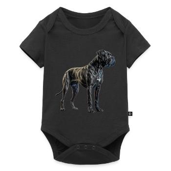 Cane Corso für einen Cane Corso Besitzer - Baby Premium Kurzarmbody - Schwarz - Vorne